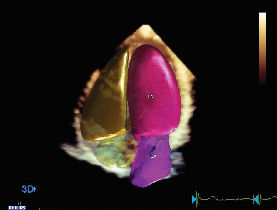 clinical image