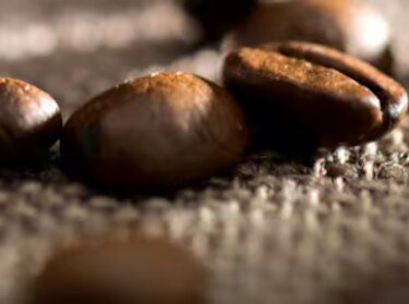Granos de café orgánico